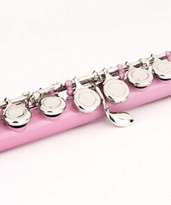 Glory Closed Hole C Flute With Case, Tuning Rod and Cloth,Joint Grease and Gloves, Light pink 13 41u5Q1hQrmL