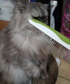 Dog Comb for Removes Tangles and Knots - Cat Comb for Removing Matted Fur - Grooming Tool with Stainless Steel Teeth and Non-Slip Grip Handle - Best Pet Hair Comb for Home Grooming Kit - Ebook Guide 27 41ubufMCiBL