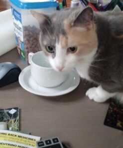 HIC 9-Piece Stackable Cappuccino Coffee Tea Set, Fine White Porcelain, Set Includes 4 (7-Ounce) Cups with Matching Saucers and Metal Stand, Gift Boxed 21 41vWE2OLCzL