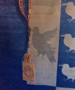 Harry Potter Hogwarts Houses Lanyard 11 41vgyZkJdoL