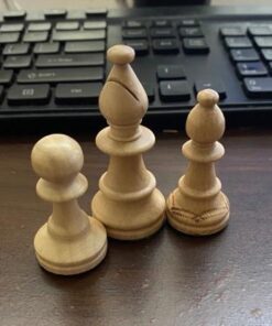 Wegiel Handmade European Professional Tournament Chess Pieces With Wood Storage Case 20 41wH17te54L