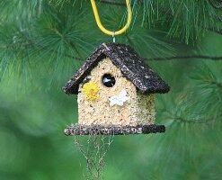 Edible Birdhouses | Reseedable Wooden Birdhouse Covered w/Birdseed | Squirrel Proof Bird Feeder | Made in The USA (SD) Short Dark Roof 23 41wYSFMR0ZL