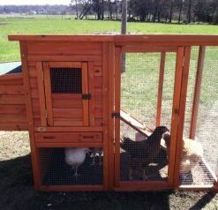 TRIXIE Pet Products Chicken Coop with Outdoor Run, 66.75 x 30.25 x 41.25 inches 66.8"L x 30.3"W x 41.3"H 42 41wuRJ1 PbL