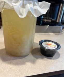 QUARTER POUND Original Water Kefir Grains Exclusively from Florida Sun Kefir with 12 Brewing Bags Mild Sweetness to Tart 0.25 Ounce (Pack of 4) 20 41x7H8ZFNIL