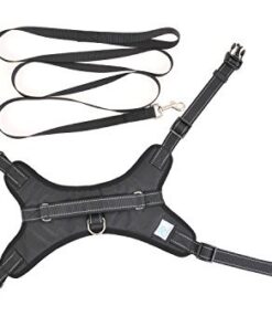 My Pets America Dog Harness for Large, Medium or Small Dogs - Complete Harness & Leash Set; Reflective, Adjustable Harness With Handle. Excellent for Training, Walking, Hiking. No Pull Effect. 5 41xTAiua4cL