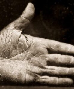 Weller 260-Watt/200W Professional Soldering Gun Kit with Three Tips and Solder in Carrying Case - D550PK 31 41xm7MMQZKL