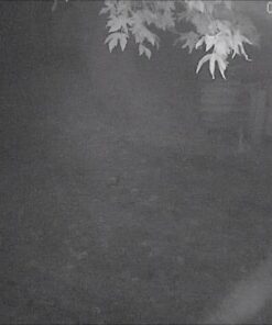 Zmodo Outdoor Security Cameras Wifi - 1080p Full HD Surveillance Cameras for Home Security with Night Vision, IP 66 Weatherproof, Plug-In, Motion Detection, 4 Pack 4 Count (Pack of 4) 55 41xxNLvjiTL