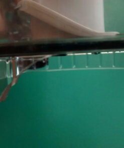 Cuisinart CH-4DC Elite Collection 4-Cup Chopper/Grinder, Die Cast Food Processor 16 41xxhsxLjOL