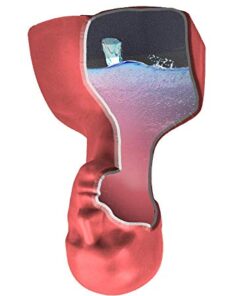 The Monster Makers Life Size Ed Head Armature 2.0 for Mask Making and Clay Busts 17 41yWzjyhteL 1