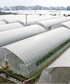 SUNVIEW Greenhouse Clear Plastic Film Polyethylene Covering Gt4 Year 6 Mil 12ft. X 25ft. 17 41ykPgeiM0L