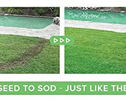 Hydro Mousse Liquid Lawn System - Grow Grass Where You Spray It - Made in USA High Performance Grass Blend 22 41z9HZri24S