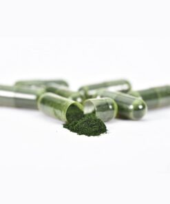 Mr. Ros Marine Phytoplankton Energy Supplements - All in One Nutritional Supplements - Superfood Capsules Vitamin Supplements - Natural Energy Supplement - Superfood Capsules - 90 Pill Capsules 16 41zJtTuj5bS