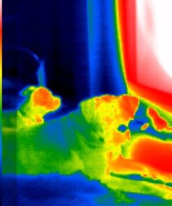 Seek Thermal CompactXR – Outdoor Thermal Imaging Camera for iOS, Black (LT-AAA) 70 41zhfe6lrXL