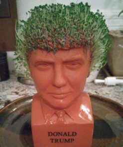 Chia Pet Donald Trump President with Seed Pack, (8" x 4.5" x 7.3") Decorative Pottery Planter, Easy to Do and Fun to Grow, Novelty Gift, Perfect for Any Occasion 34 51 aedHLb7L