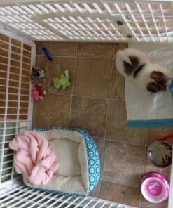 IRIS USA 24-inch Exercise 4-Panel Pet Playpen with Door, White 4 Panel w/ door 49 51 cVKeDKiL