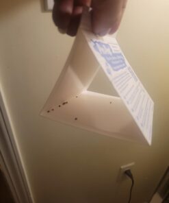 Pro Pest Pantry Moth & Beetle Traps 2 Pre-Baited Traps 20 51 stlHRu8L