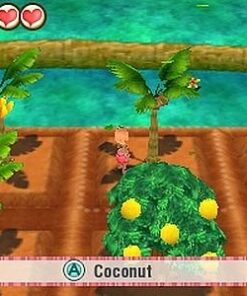 Story of Seasons: Trio of Towns - Nintendo 3DS US Packaging 32 51 wdwr2RQL