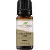 Plant Therapy Ginger Root CO2 Essential Oil 100% Pure, Undiluted, Natural Aromatherapy, Therapeutic Grade 10 mL (1/3 oz) 40 510W4kew65L