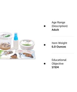 5 Live Caterpillars Shipped Now- Butterfly Kit Refill 39 510bHKI6I1L