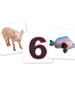 Learning Resources Vowel Owls Sorting Set, Word Recognition, Assorted Colors, Set of 6, Ages 5+ 23 510log7gx7L