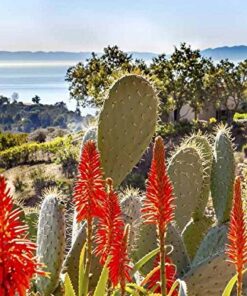 Lonely Planet USA's National Parks 29 510qqbwbzOL