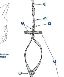 PetSafe Come With Me Kitty Harness and Bungee Leash, Harness for Cats, Large, Royal Blue/Navy 28 510vIYDWJJL