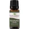 Plant Therapy Eucalyptus Globulus Essential Oil 10 mL (1/3 oz) 100% Pure, Undiluted, Therapeutic Grade 0.33 Fl Oz (Pack of 1) 11 510yX64QT4L
