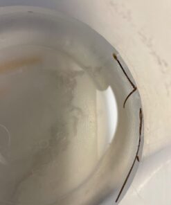 REESE'S PINWORM Medicine Liquid for Entire Family, Full Prescription Strength, 2 Oz 2 Fl Oz (Pack of 1) 31 5118kMtugcL