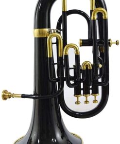 Nasir Ali Bb Euphonium Black 4 Valve 8 511HQ0ZfXcL