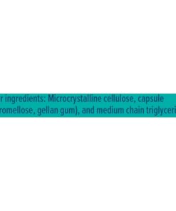 Renew Life Extra Care Digestive Probiotic Capsules, 50 Billion CFU Guaranteed, Daily Supplement Supports Immune, Digestive and Respiratory Health, L. Rhamnosus GG, Dairy, Soy and gluten-free, 60 Count 60 Count (Pack of 1) 19 511OfYTyZDL