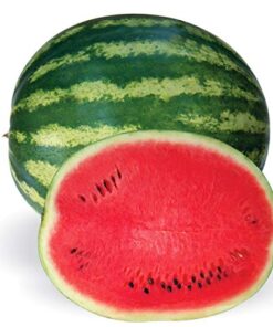 Crimson Sweet Heirloom Watermelon Seeds