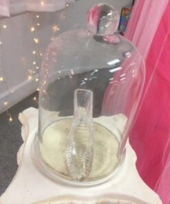 Godinger Crystal Slipper Glass Slipper - 6.75" 27 511XKE7N0L