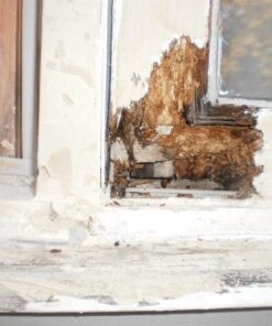 Bondo Home Solutions Wood Filler, Sandable in 15 min, 1.9 lbs with 1 oz Hardener 56 511nw9xYhUL