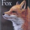 How to Spot a Fox (The How to Spot) 7 511pFArnI2L