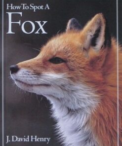 How to Spot a Fox (The How to Spot)