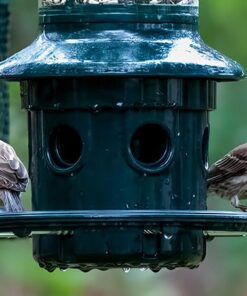 Squirrel Buster Plus Squirrel-proof Bird Feeder w/Cardinal Ring and 6 Feeding Ports, 5.1-pound Seed Capacity, Adjustable, Pole-mountable (POLE ADAPTOR SOLD SEPARATELY), Green 30 512StJmWTWL