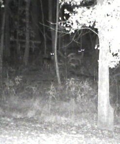 Barska NVX100 3x Night Vision Monocular with Built in Camera Short Range Monocular 15 512fjrj48aL