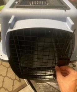 Petmate Two-Door Small Dog Kennel & Cat Kennel, Top Loading or Front Loading Pet Carrier, Made with Recycled Materials, 24 inches in Length For Pets up to 15 Pounds, Made in USA 24.1"L x 16.8"W x 14.5"H BLUE 39 512pPR39DoL