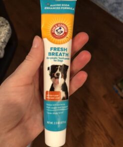 Arm & Hammer for Pets Fresh Breath Kit for Dogs | Contains Toothpaste, Toothbrush & Fingerbrush | Reduces Plaque & Tartar Buildup | Safe for Puppies, 3-Piece Kit, Chicken Flavor Dogs - Chicken Flavor 2.5 Oz (Pack of 1) 32 513J4zMfRPL