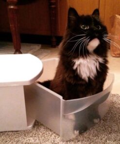 Alpha Paw - Odor Eliminating Pee Pads for Dogs, Extra Thick Disposable Leak-Proof Dog Pads, Quick-Dry, Non-Slip Backing, With Pheromones To Attract Your Dog Standard (22"x 23") 33 513PY 4h5zL