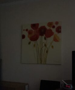 Glucosamine Chondroitin MSM Turmeric Boswellia - Joint Support Supplement. Antioxidant Properties. Helps with Inflammatory Response. Occasional Discomfort Relief for Back, Knees & Hands. 90 Capsules Glucosamine Chondroitin 40 513VhwGl0TL