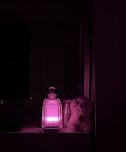 DOUDING Glass Essential Oil Diffuser Humidifier, Ultrasonic Aromatherapy Diffuser Cool Mist with Auto Shut-Off, 7 Colors Adjustable Diffuser for Home, Bedroom, Office, Yoga, 120ml(White Base) White Base 40 513X2QsTgL