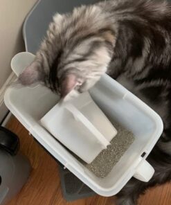 Rubbermaid Commercial Products Food Service Utility Scoop, 64-Ounce, White, for Ice/Bar and Ingredient Use in Restaurant/Kitchen 33 513tEgX5wFL