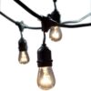 Bulbrite STRING15/E26-S14KT Outdoor, Garden, Patio, Wedding, Party, Holiday, Lawn, and Landscape String Light w/Incandescent Bulbs, 48-Feet, 15 Lights 48 Feet (Black) Clear Incandescent Bulb 8 513z9BEoJdL