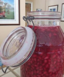 HIC Silicone Replacement Gasket Seals, Fits Regular Mouth Canning Jars, 3.75 x 3.75-Inches, Set of 4 23 514cjiC5vaL