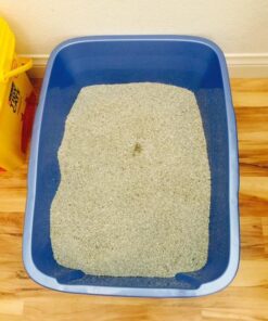 Pureness Giant Cat Litter Pan, Assorted Colors 34 514co3RCb4L