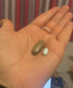 New Chapter Women's Multivitamin for Immune, Beauty + Energy Support with 20+ Nutrients -- Every Woman's One Daily, Gentle on the Stomach, 72 Count 72 Count (Pack of 1) 46 514im KKN8L