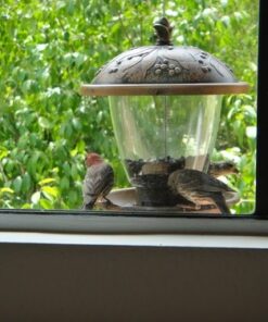 Perky-Pet 305 Holly Berry Gilded Chalet Wild Bird Feeder Gold 33 514nu0Lb6gL