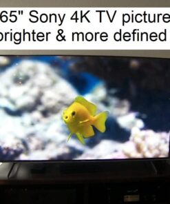 Sony STR-AN1000 7.2 CH Surround Sound Home Theater 8K A/V Receiver: Dolby Atmos, DTS:X, Digital Cinema Auto Calibration IX, Bluetooth, WiFi, Google Chromecast, Spotify connect, Apple AirPlay, HDMI 2.1 STR-AN1000 AV Receiver only 69 5152ElVUKiL