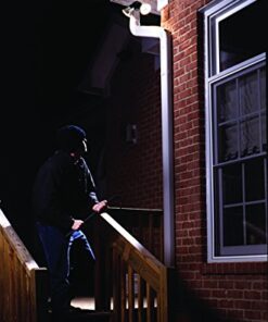 Cooper Lighting 110 Degree Motion Detector Floodlight, Black 1 Count (Pack of 1) 11 5156cffz6CL